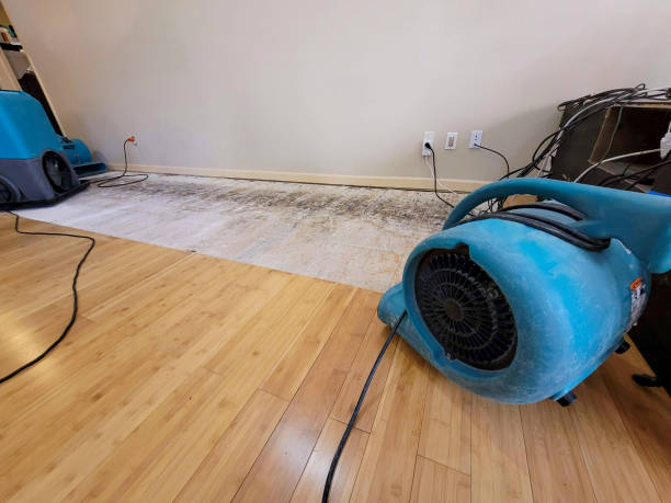Professional Structural Drying technician working in Hockingport, OH